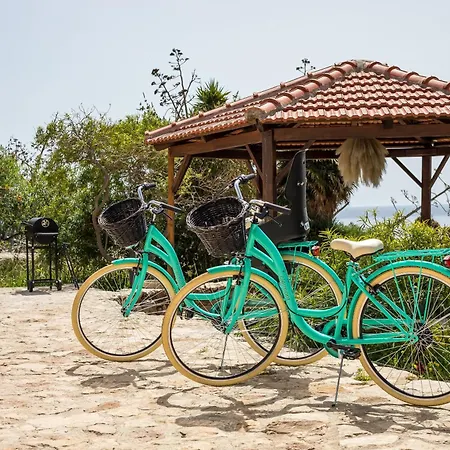 Lady Stamatias House